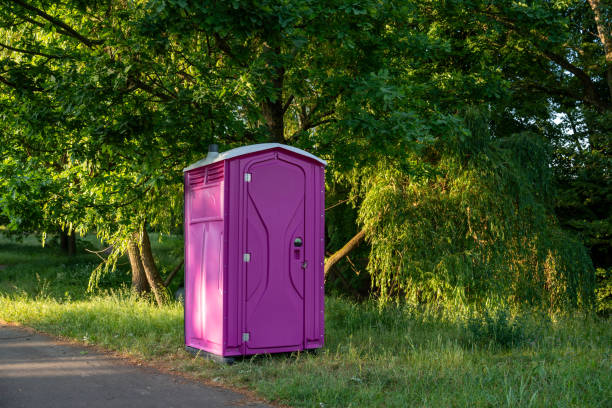 Best Sanitation services for porta potties  in Colfax, IL